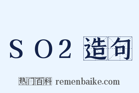 SO2造句是什么意思的图片